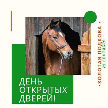 День Открытых Дверей-2019