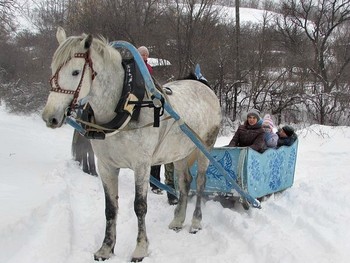 pokatatsya_na_sanyah_saratov_konnii_klub_zolotaya_podkova