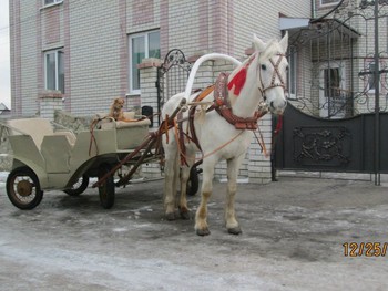 prokat_kareti_konnii_klub_zolotaya_podkova