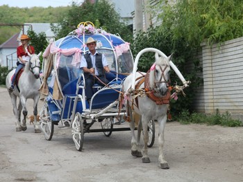 prokat_kareti_saratov_konnii_klub_zolotayapodkova