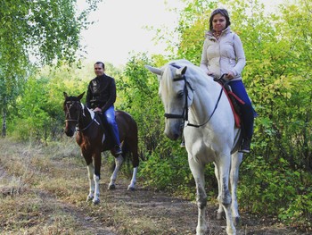 konnie-progulki- saratov1