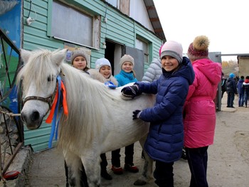 ekskursii_s_loshadmi_zolotaya_podkova_konnii_klub