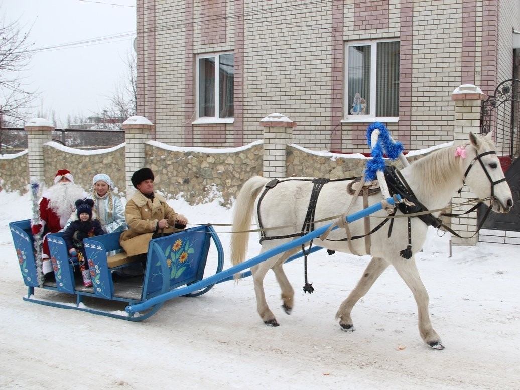 Новогоднее представление
